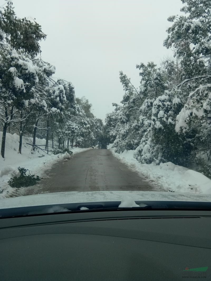 2018年的*场雪和2008年的*场雪不会差